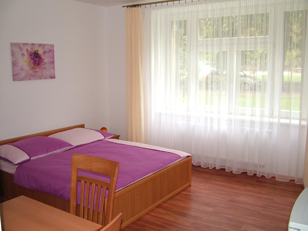 Penzion Rafael Podebrady Room photo